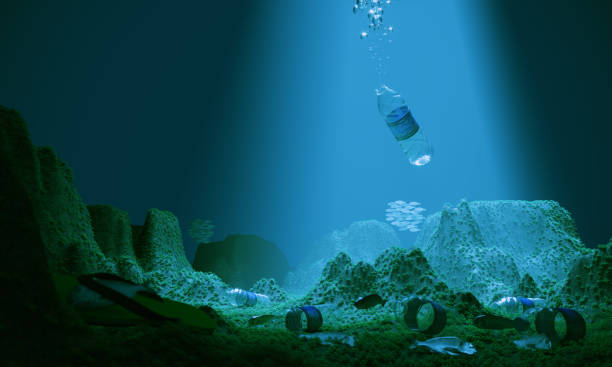 The Plastic Problem